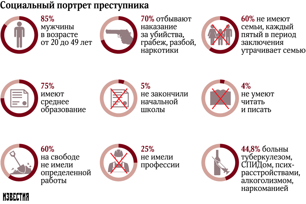 инфографика